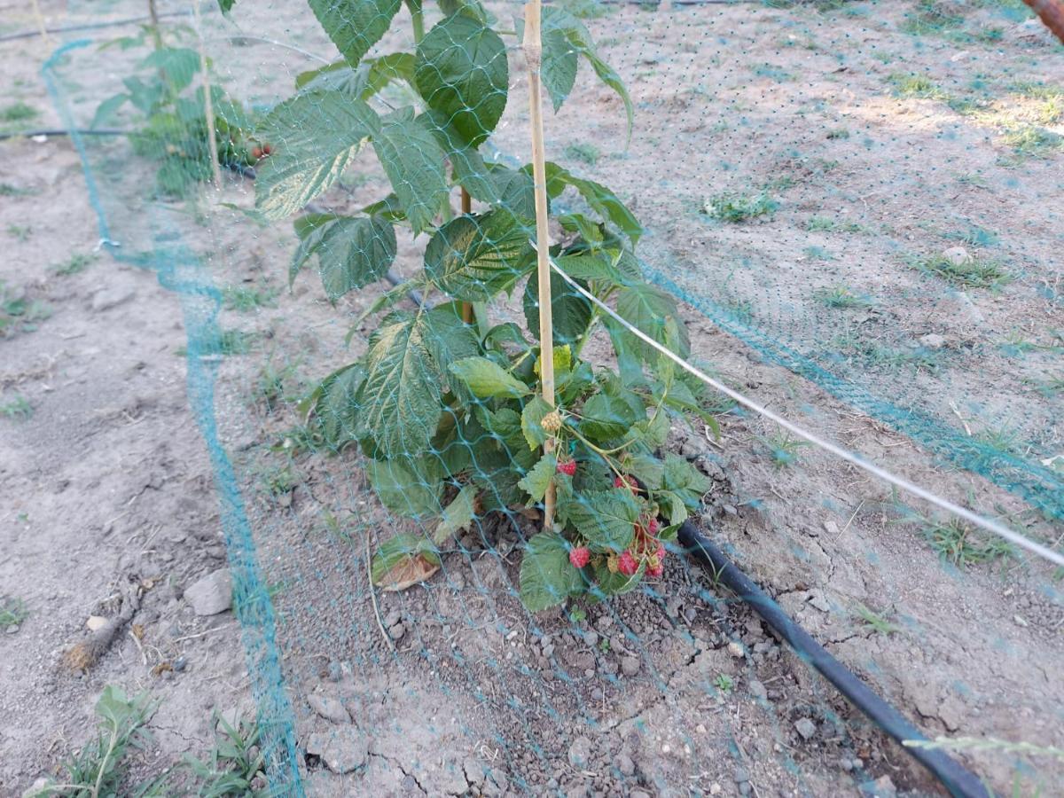 Agriturismo Pranu Sorgono Εξωτερικό φωτογραφία