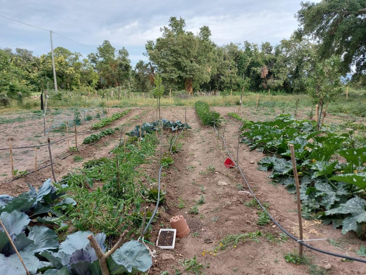 Agriturismo Pranu Sorgono Εξωτερικό φωτογραφία