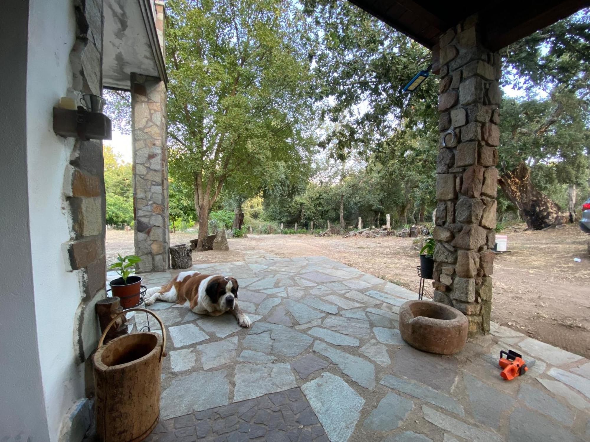 Agriturismo Pranu Sorgono Εξωτερικό φωτογραφία