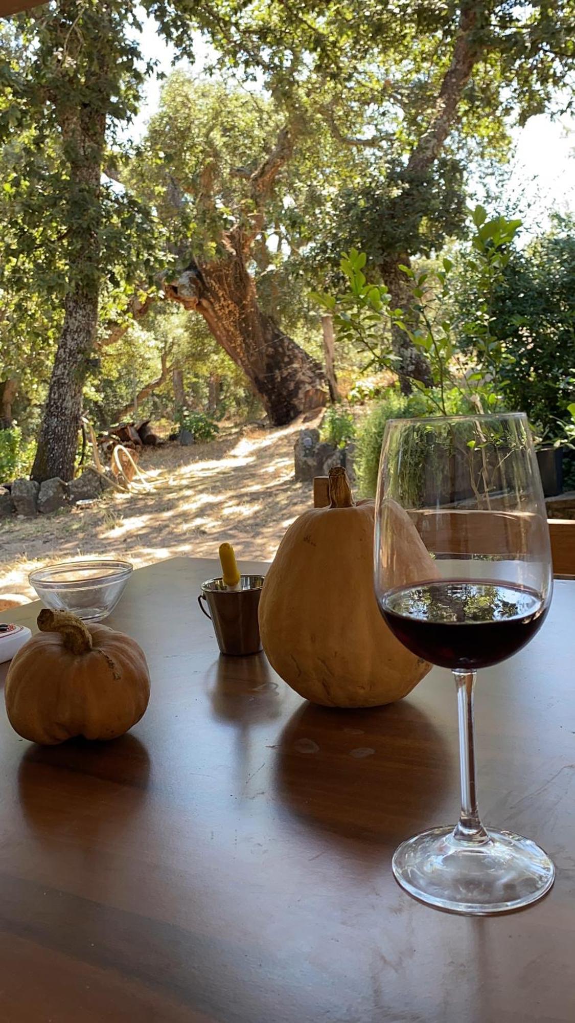 Agriturismo Pranu Sorgono Εξωτερικό φωτογραφία