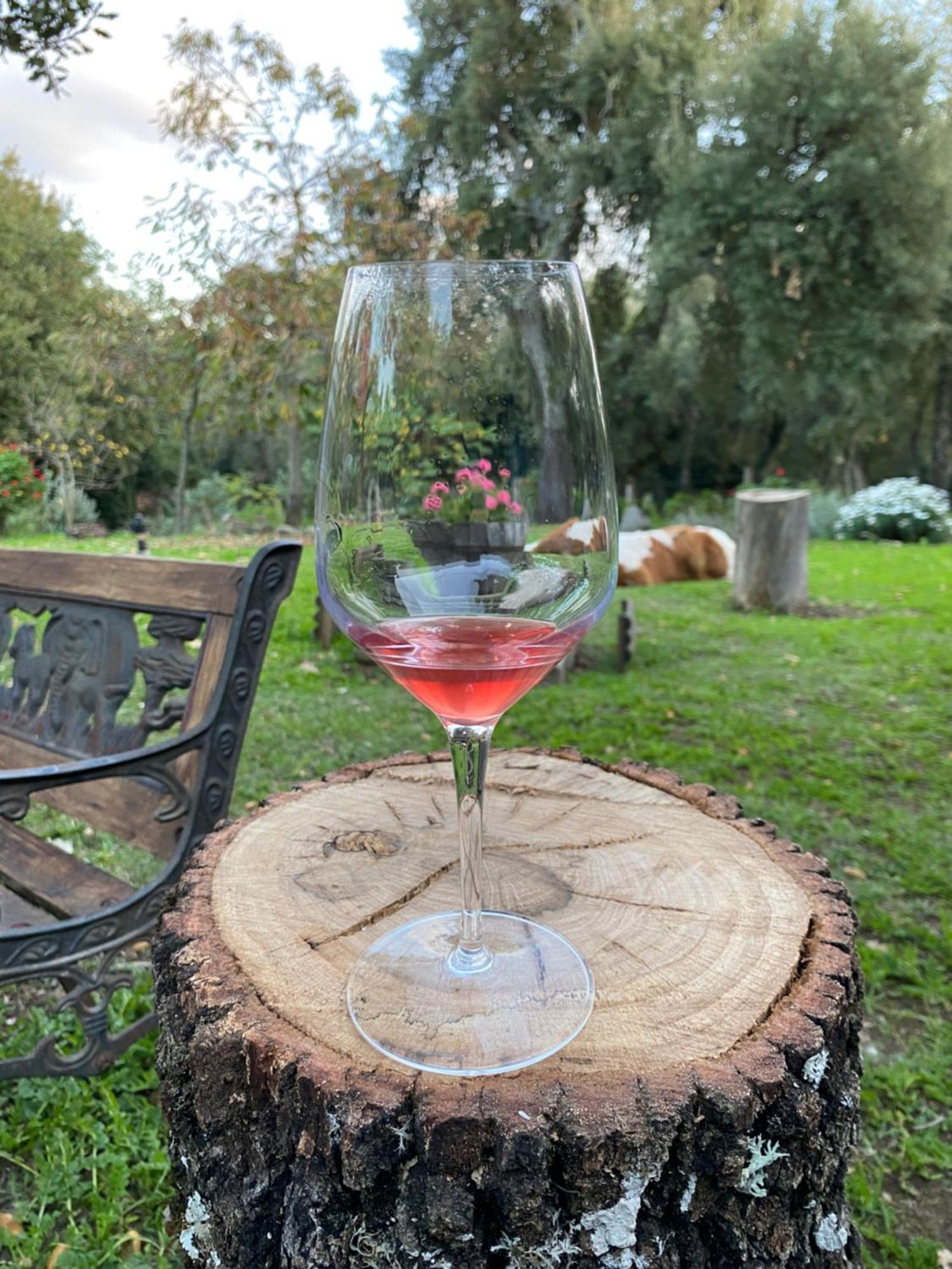 Agriturismo Pranu Sorgono Εξωτερικό φωτογραφία