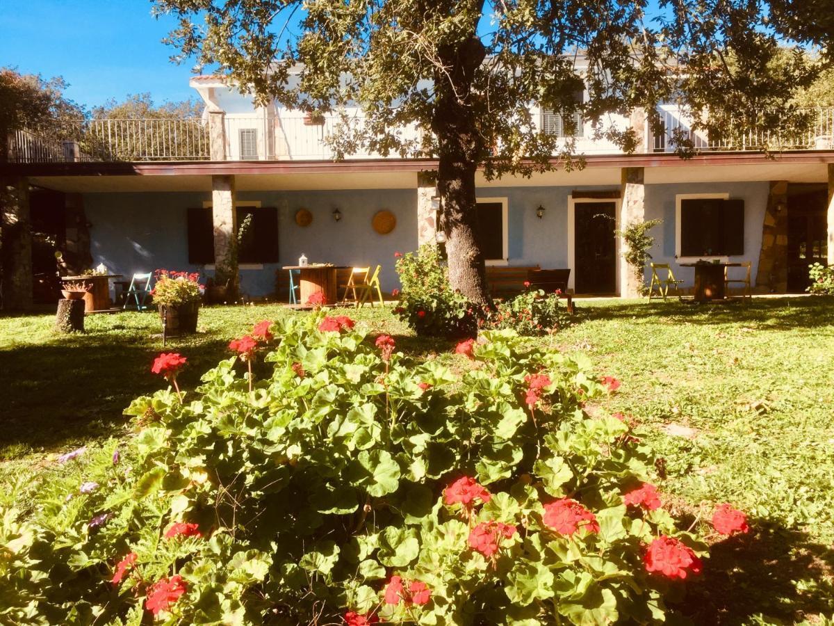 Agriturismo Pranu Sorgono Εξωτερικό φωτογραφία